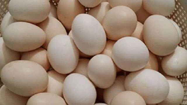 أسباب ارتفاع بيض المائدة: سعر البيضة زاد 50 قرشاً