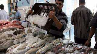 أسعار الأسماك والمأكولات البحرية في الأسواق اليوم الخميس 23 يونيو 2022
