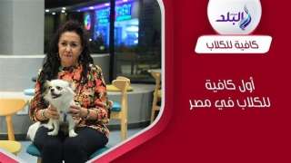 بياكلوا دونتس وكيك.. حكاية أول كافيه للكلاب في مصر| فيديو