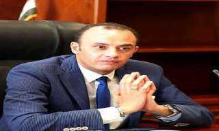 شعبة الدواجن بعد انخفاض 20 جنيها خلال شهر: هذا هو السعر العادل