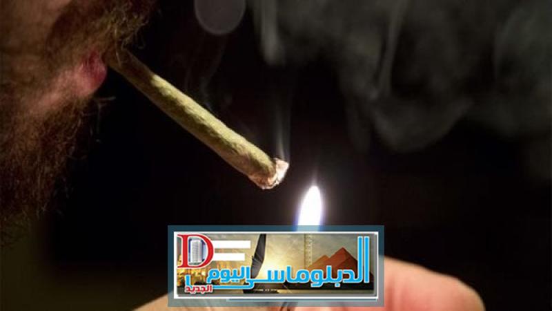 حوادث حشيش - أرشيفية