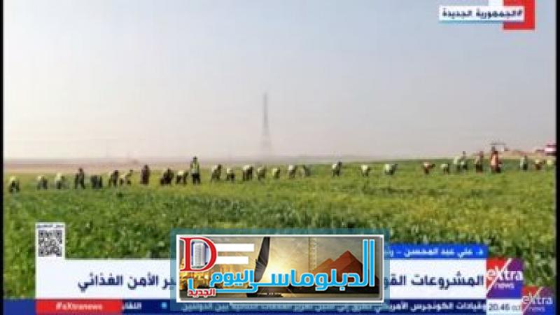 لدينا اكتفاء ذاتى من السلع الزراعية
