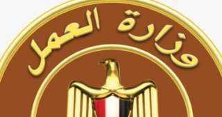 وزارة العمل: ملتقى توظيف يوفر 690 فرصة عمل بالبحر الأحمر الثلاثاء