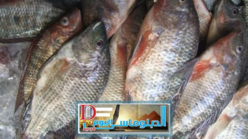 بلطى ارشيف