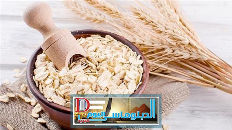 أسعار الشوفان اليوم