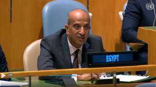 مصر تطالب مجلس الأمن باستصدار قرار يمنع تصدير السلاح لإسرائيل