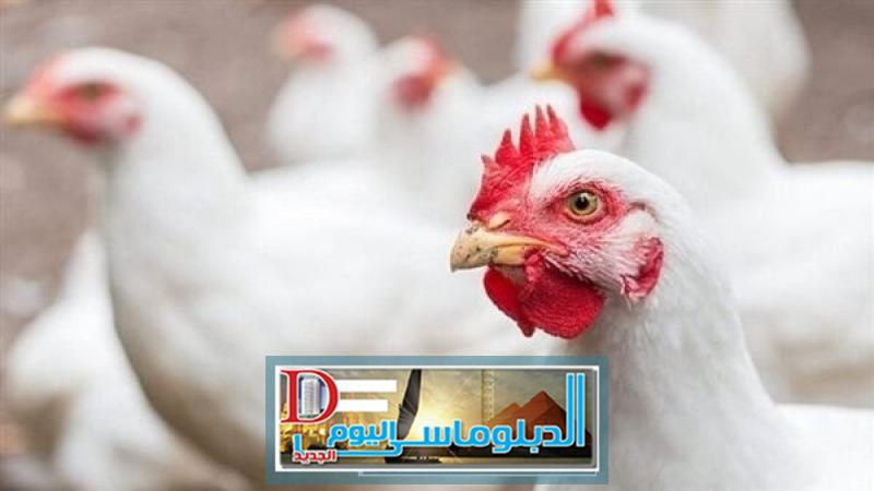 بورصة الدواجن