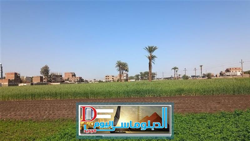 طقس أسيوط