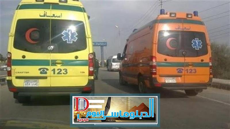 ارشيفية